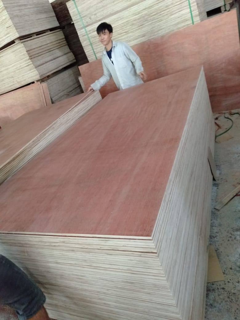 commercial plywood 2