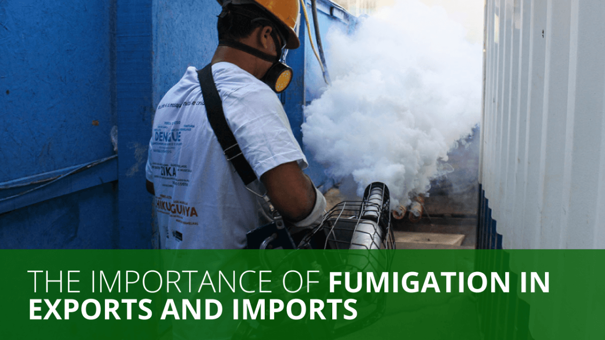 Purpose of Fumigation for Wood/Timber